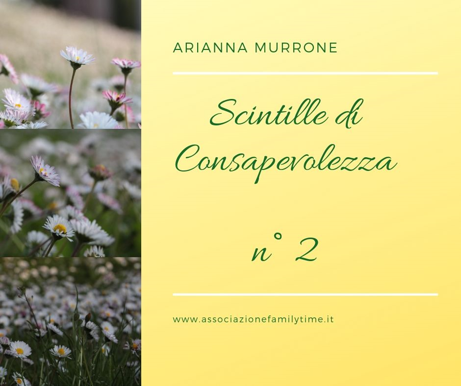 Scintille di Consapevolezza n° 2